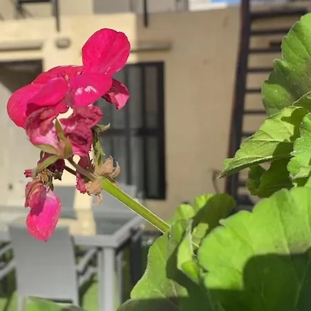 Vakantiehuis House In With Private Pool