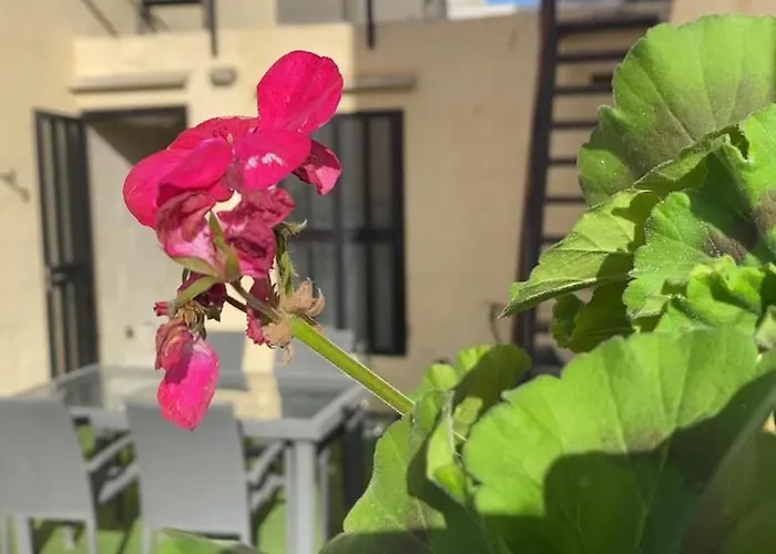 Сasa de vacaciones House In With Private Pool